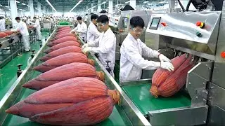 Old School | Inside the Banana Blossom Factory | Traditional to Modern Processing Line