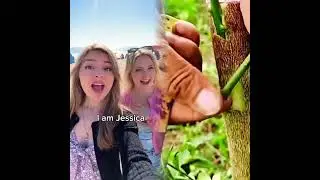 🤣👌👌👌2026 pov Must Watch Crazy Clips Compilation #humor #fypシ #pov #fyp #foryou #viral😍😜