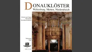 Volles Gel&auml;ut - Vier Glocken