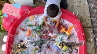 Dinosaur Wash with Jeremy! So many Dinosaurs