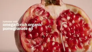 Pomegranate Superfoods Powered Leave-In Conditioner | Nutriplenish | Aveda