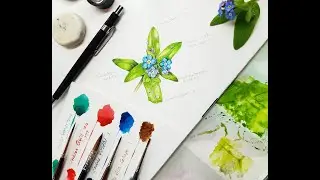Comparing Synthetic Watercolour brushes part 3