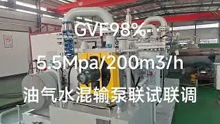 Commissioning of Twin-screw Multiphase Pump