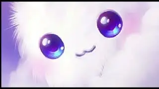 Aggressive Cute EDM House Music (Tomorrowland) Electronic Vibes (DJ Jacky Jungle) Beauty Of Heart ▶︎