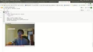 objects detection webcam in google colab