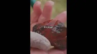 5 shocking facts about Rocks 🪨 you won&rsquo;t believe. #Rocks #facts4u