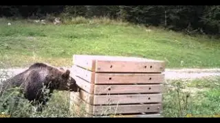 Compost Basics