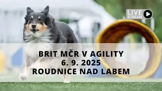 ŽIVĚ 🔴 | Brit MČR v agility Roudnice n. L. – 6. 9. 2025