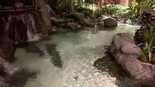 Polynesian Village Resort Water Feature - Walt Disney World 10-01-2021