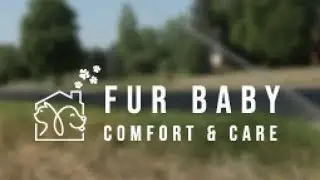 Check out our Vote 4 the Best Pets winner &lsquo;Fur Baby Comfort and Care&rsquo;