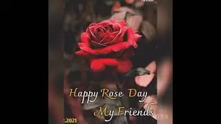 Rose Day Status 2021 Video | 7 FEB 🌹 HAPPY ROSE DAY Whatsapp status | Valentine's Week Special Vide