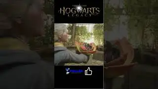 Hogwarts Legacy Herbologia #shorts