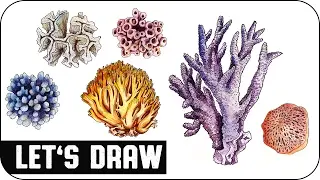 🎨 Let's Draw: CORALS (Speed Painting) ▼ voidea