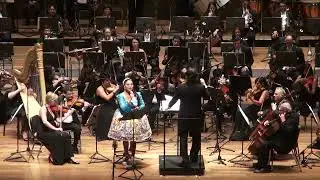 Orquesta Sinfónica Nacional y Dina Paucar   Tem
