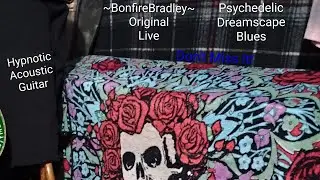 ~BonfireBradley~ #Original#Live#Hypnotic#Acoustic#Guitar#Harmonica#Psychedelic#Dreamscape#Blues#Jams