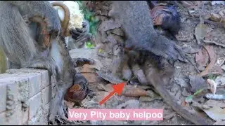 OMG!! Very pity baby helpo he fall down from the tree because he no power hug err Cyclops