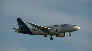 4K / Lufthansa A319   114 Reg  D ALIF Frankfurt   BER 17 10 2022