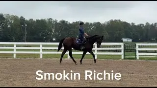 SMOKIN RICHIE - (W/T) Adoptable Thoroughbred Gelding, New Vocations