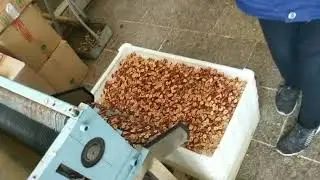 Automatic Dried Red Jujube Date RIng Slice Cutting Machine