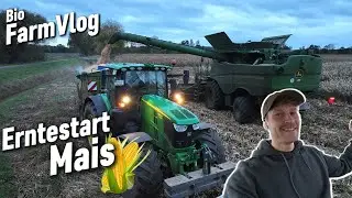 Fr&uuml;h am Morgen gehts los.. Wir dreschen Mais - ertser Dinkel wird blind-gestriegelt & mehr /Vlog 207