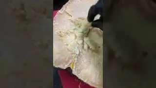Сыр prima donna forte