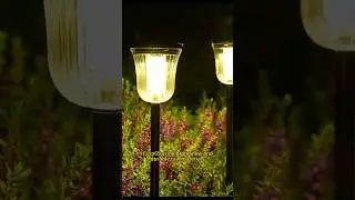 Solar garden light factory is seeking wholesalers.