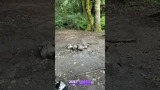Free Camping at Hult Pond | Oregon Vanlife
