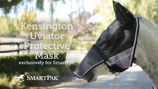 Kensington Uviator Fly Mask Showcase with Anthony from Kensington