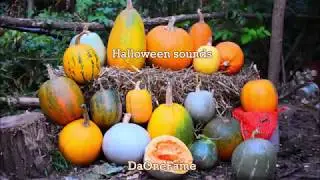 Halloween sounds chill mix | by DaOneFame