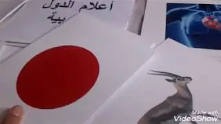 كيفية تقديم المعرفة الموسوعية وفق أسلوب جلين دومان _Encyclopedic knowledge Glenn Doman (المرحلة1)