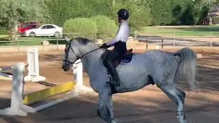 No stirrup flat work with Anthem