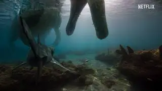 Spinosaurus vs Shark | Deadly Ocean Ambush | The Dinosaurs | Netflix