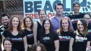 ABO's Beagle Freedom Project Partnership