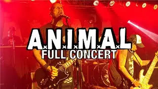 A.N.I.M.A.L. Full Show El Salvador 21/08/2025, Simmerdown. This Band's Concert Was INSANE!