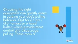 Preventing dogs pulling | Best Solutions | Leash etiquette Ending dogs pulling | PawPrint Adventures