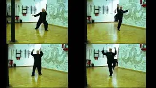 Tai Chi Chuan forma 40