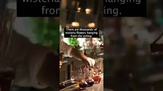 Most romantic date night restaurant in New York City