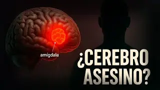 POSE&Iacute;DO por su CEREBRO