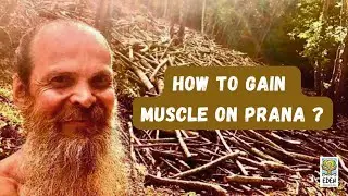 How to Build Muscles on Prana ?