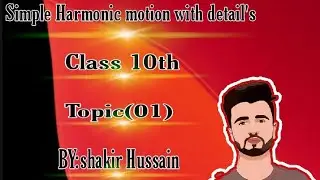 Simple harmonic motion with detail