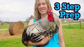 How to get ready for a Poultry Show