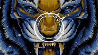 COSMIC GATE - Fire Wire 2021 (DON PANDA _ DJ.NEISZ )