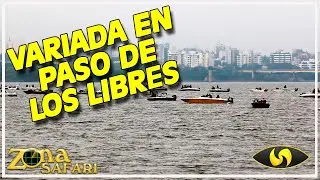 Espectacular torneo de pesca en Paso de los Libres