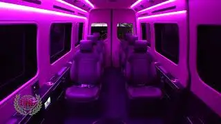 Traveler - (Thailand) by Royal Customs