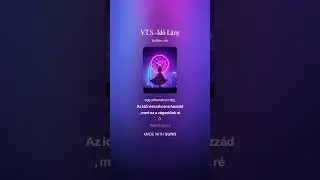 V.T.S - Idő Lány