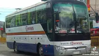 Genesis Bus Crash
