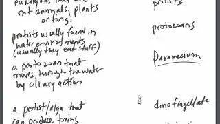 PB 2 LT review Protists CH 17