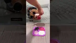 Fireworks Routine: 1. Bed in the shower 🛏️ 🚿 2. 🎧 🕶️ 3. 🍓🫐🧀