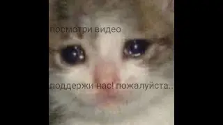 произошли технические шоколадки