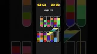 Water sort puzzle level 1313